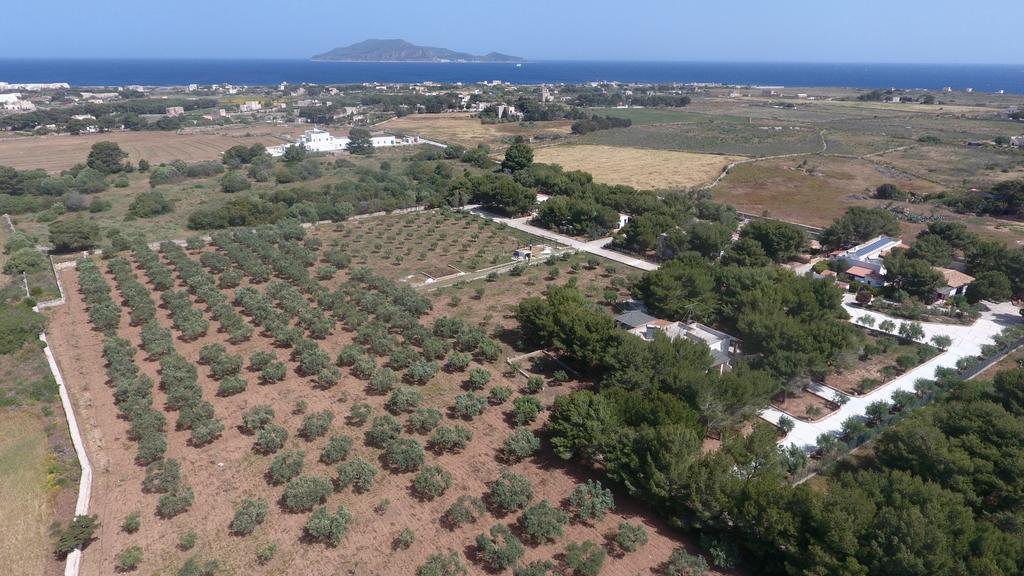 Appartamenti In Villa Senia 파뷔냐나도 외부 사진