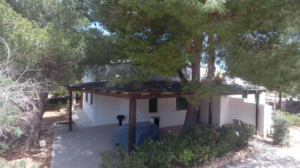 Appartamenti In Villa Senia 파뷔냐나도 외부 사진
