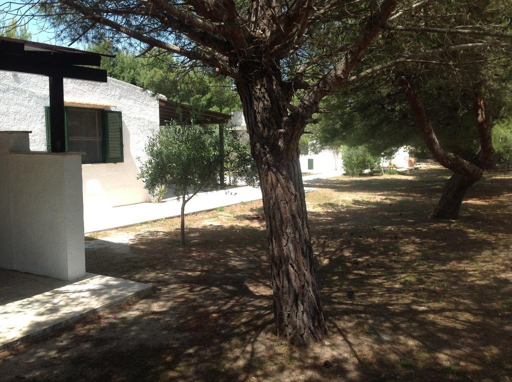 Appartamenti In Villa Senia 파뷔냐나도 외부 사진