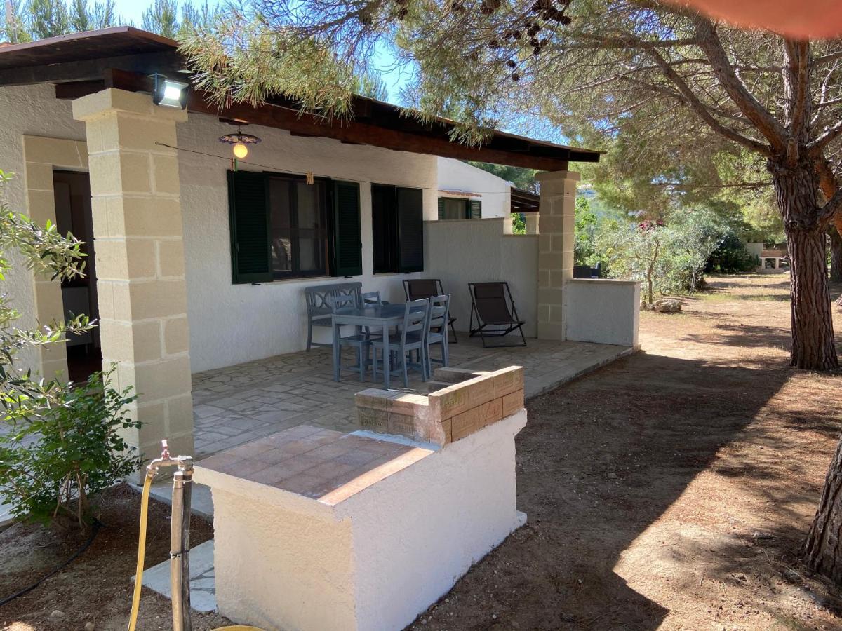 Appartamenti In Villa Senia 파뷔냐나도 외부 사진