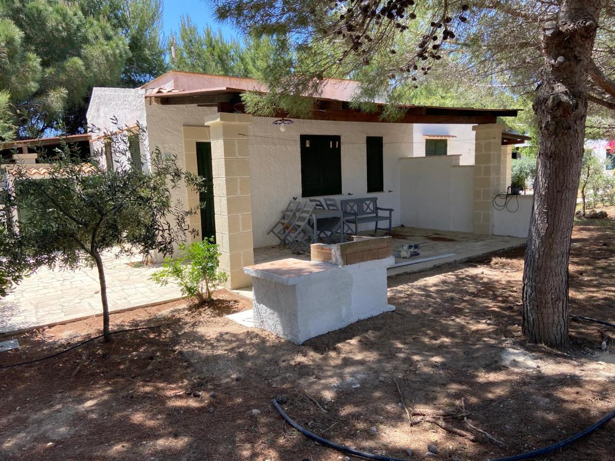 Appartamenti In Villa Senia 파뷔냐나도 외부 사진