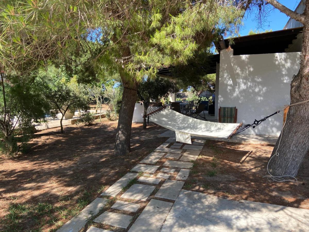 Appartamenti In Villa Senia 파뷔냐나도 외부 사진