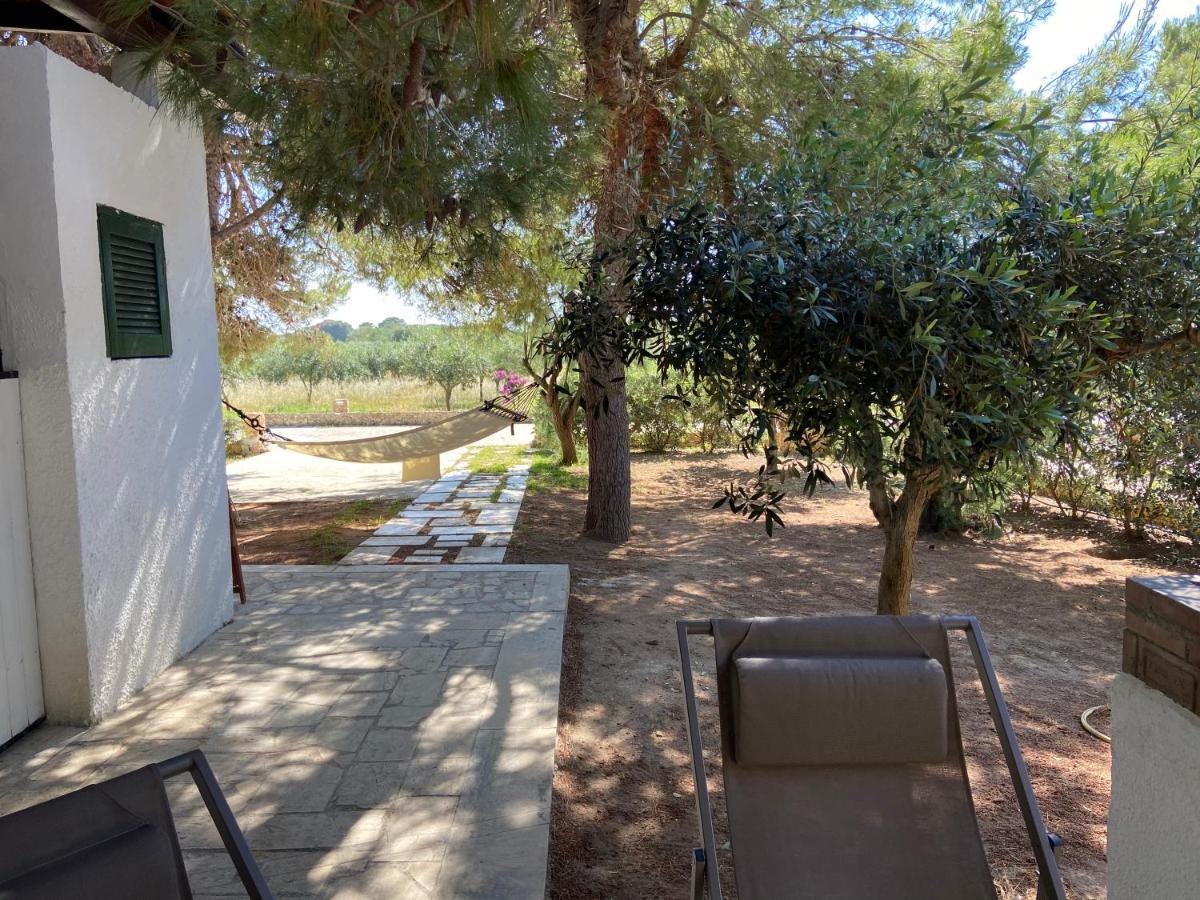 Appartamenti In Villa Senia 파뷔냐나도 외부 사진