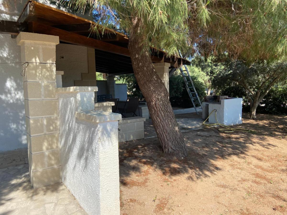 Appartamenti In Villa Senia 파뷔냐나도 외부 사진
