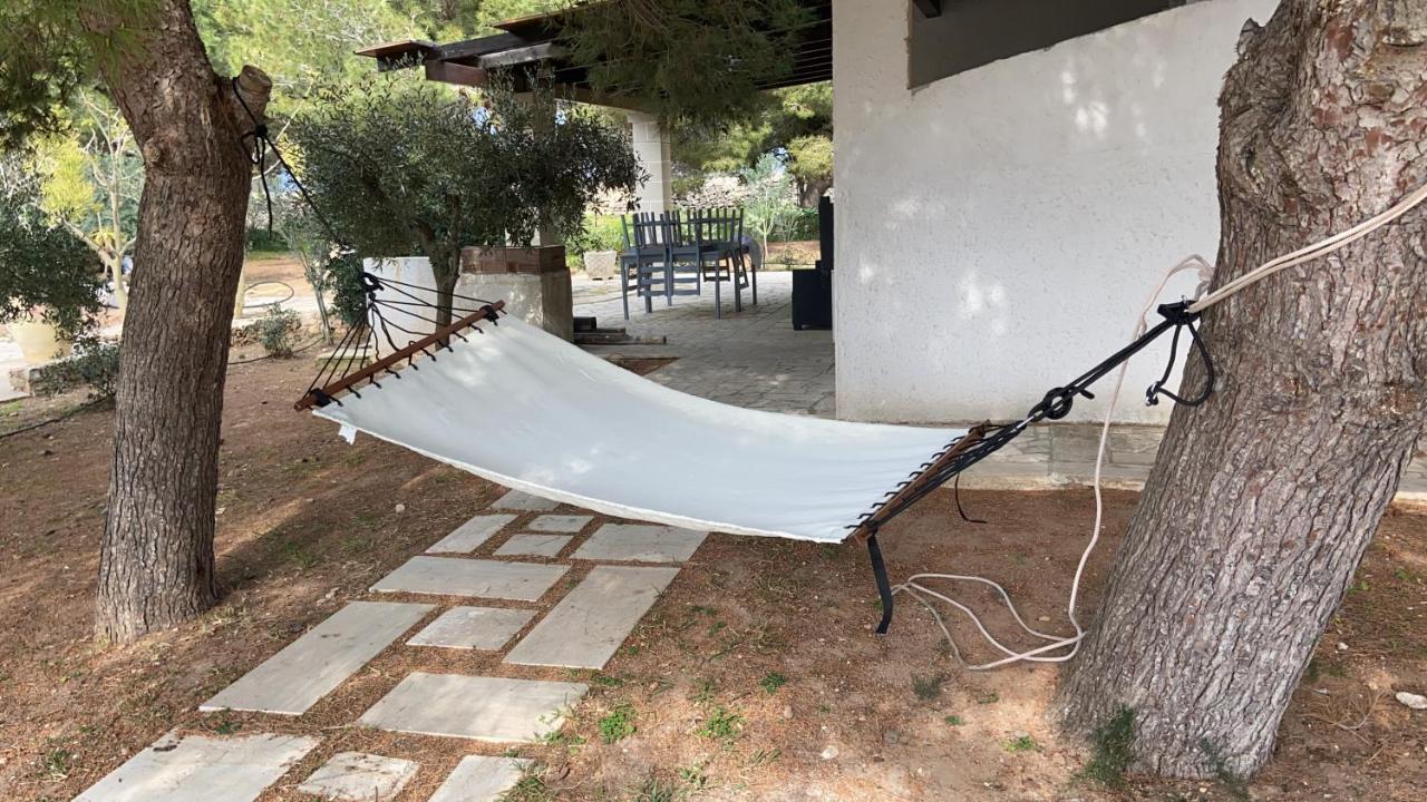 Appartamenti In Villa Senia 파뷔냐나도 외부 사진