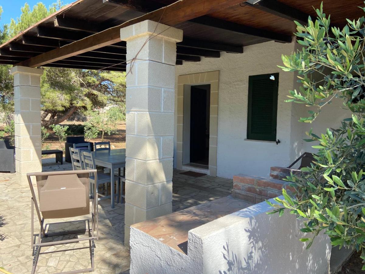 Appartamenti In Villa Senia 파뷔냐나도 외부 사진