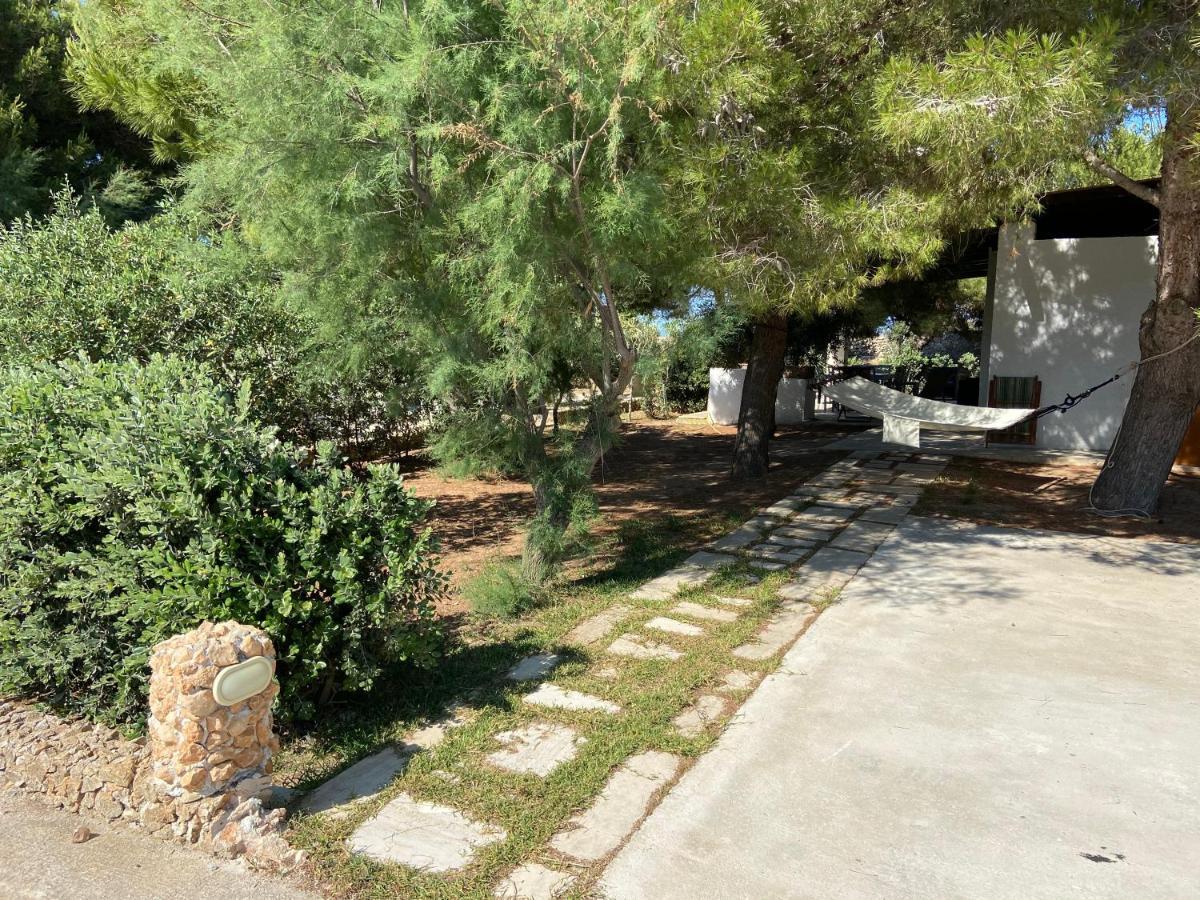Appartamenti In Villa Senia 파뷔냐나도 외부 사진
